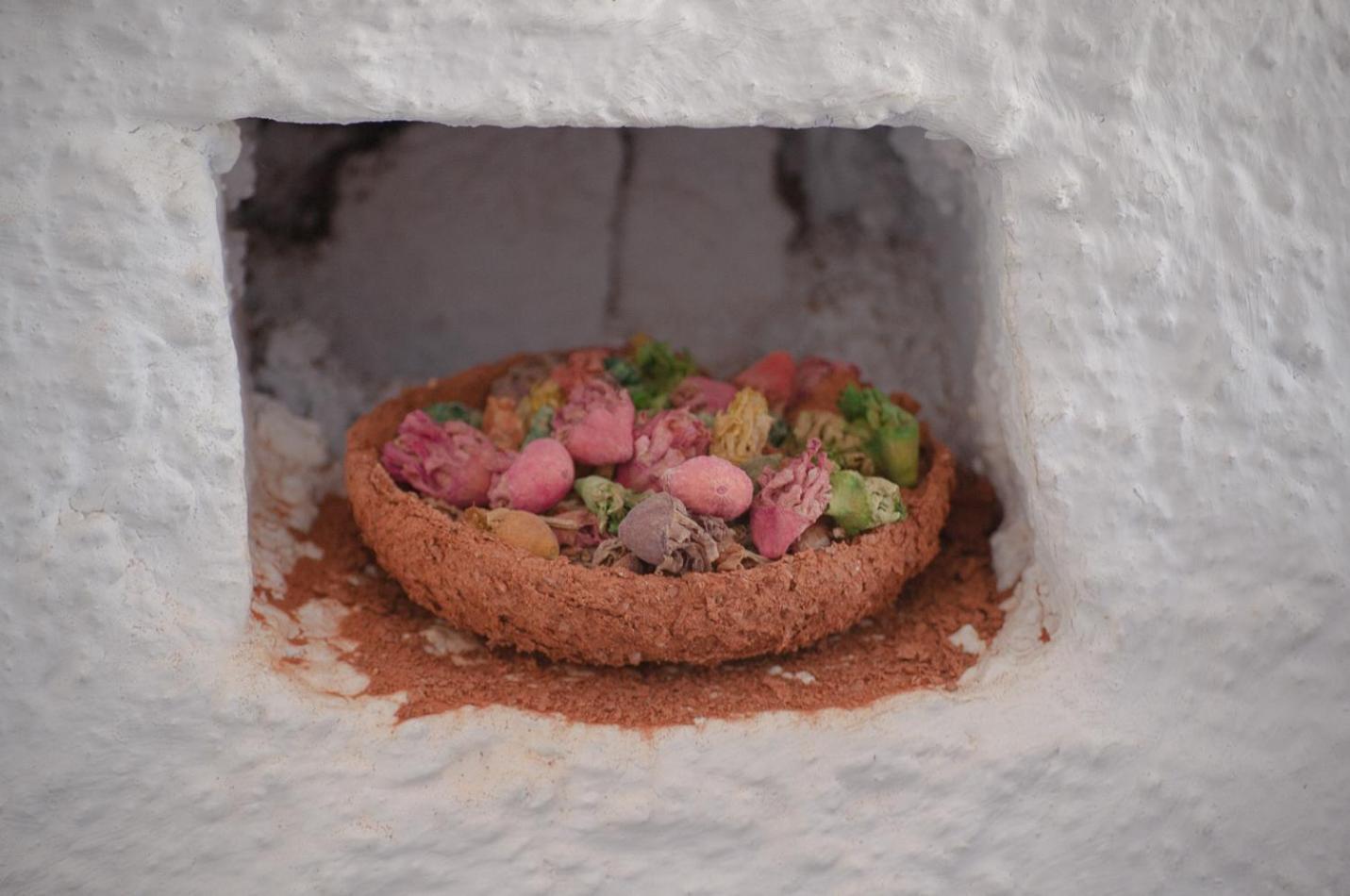 Riad Antek Chefchaouen Exterior photo